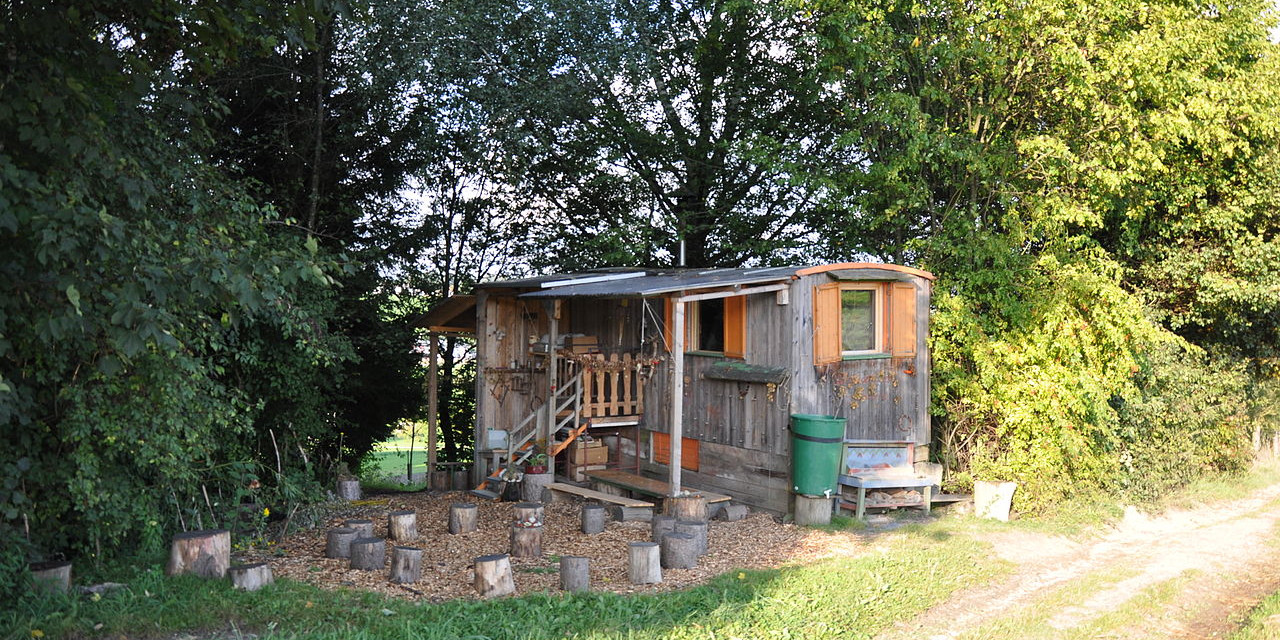 Abbiamo parole per - L'asilo nel bosco Pedagogia Viva