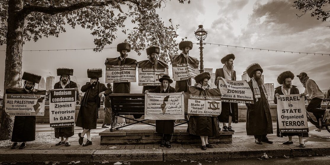 Anti-Zionist_Jews_Protesting_in_Solidarity_with_Palestinians_-2_(53307601543)_small